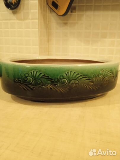 Кактусница