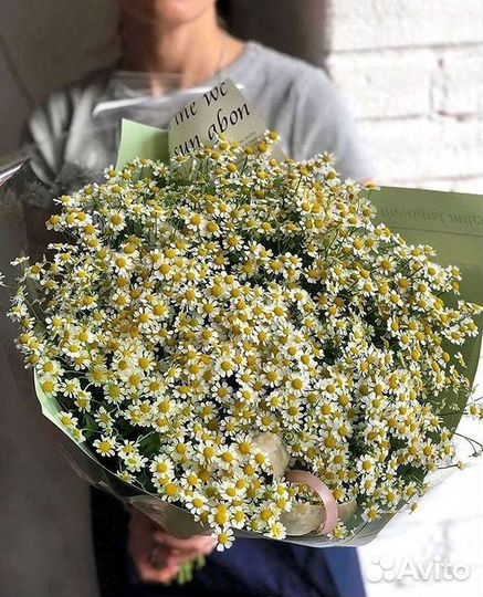 Букеты ромашек