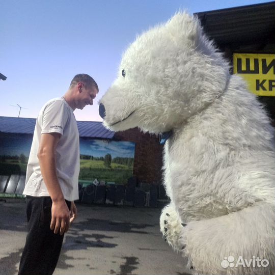 Поздравление от белого медведя панды