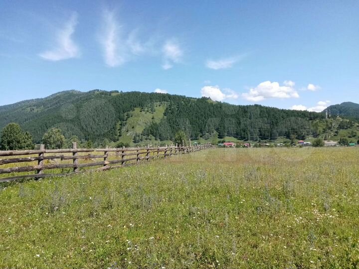 Участок 10 сот. (СНТ, ДНП)