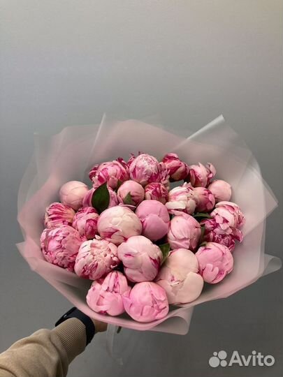 101 Роза букеты Цветы 51 доставка 24/7