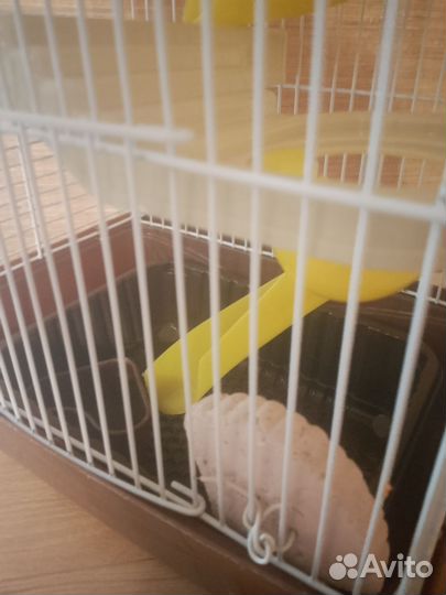 Клетка для хомяка с приятными плюшками сбоку