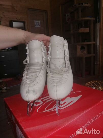 Фигурные коньки edea chorus