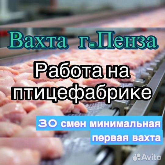 Сортировщик на птицефабрику г.Пенза Вахта