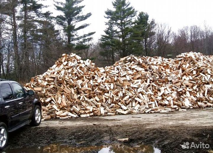 Дрова в Сертолово