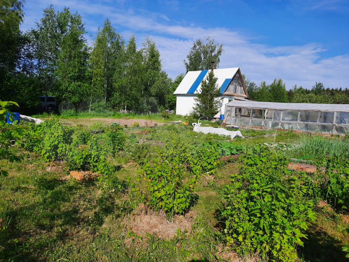 Дача 50 м² на участке 13 сот.