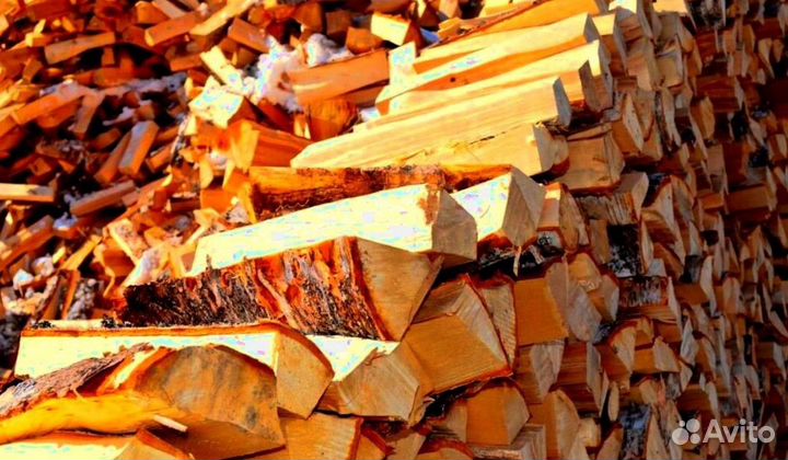 Дрова с Приморска