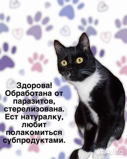 В добрые руки