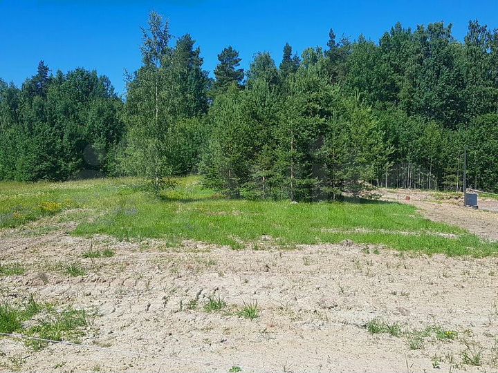 Участок 6,1 сот. (СНТ, ДНП)