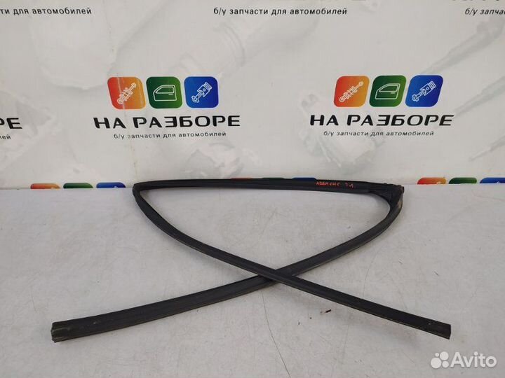 Уплотнительная резинка стекла двери задняя левая
