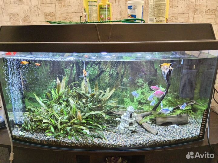 Аквариум