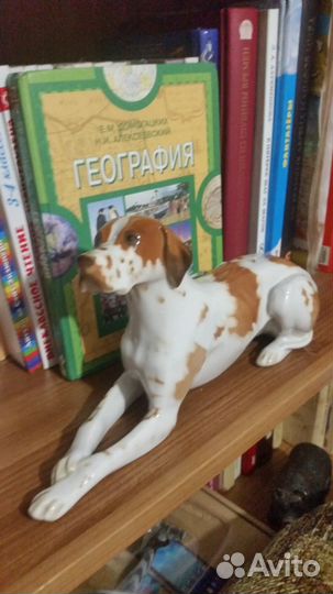 Фарфоровая статуэтка. СССР. Пойнтер. лфз