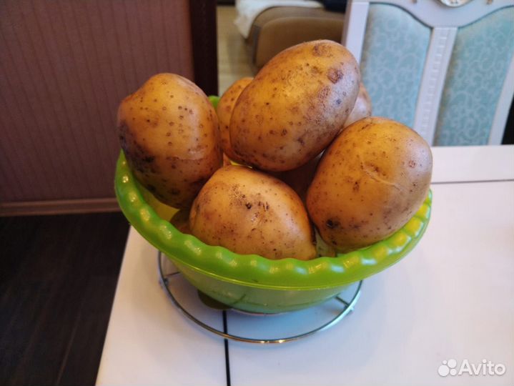 Продукты питания
