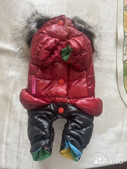 Одежда для маленьких собак