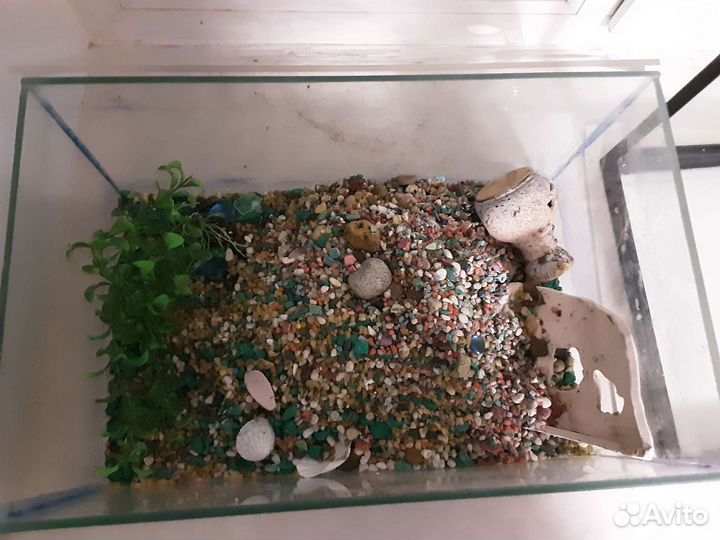 Аквариум 20 л с крышкой фильтр водогрей доставка