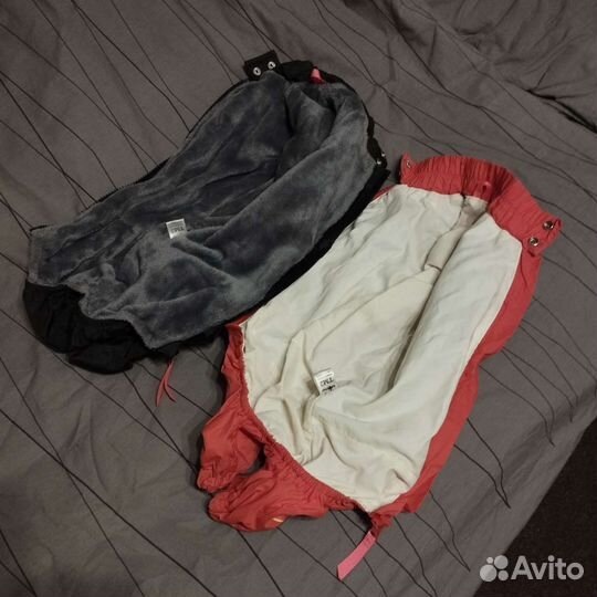 Комбинезоны на таксу