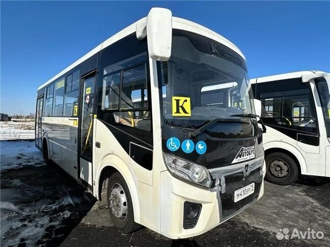 Городской автобус ПАЗ Вектор Next, 2023