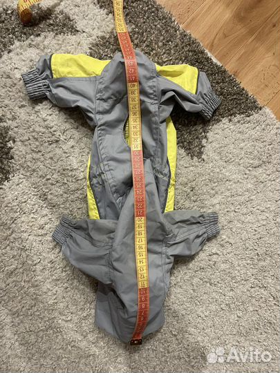 Дождевик для маленькой собаки