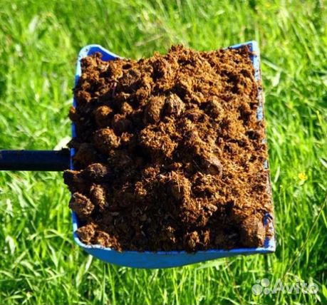 Конский навоз