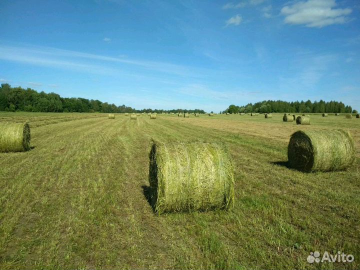 Сено люцерна / разнотравье в рулонах 2024 Чувашия