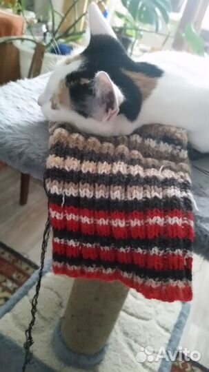 Готовые вязаные шерстяные носки больших размеров