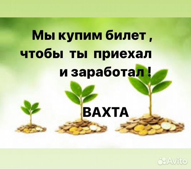 Вахта упаковщик кофе еженедельные выплаты