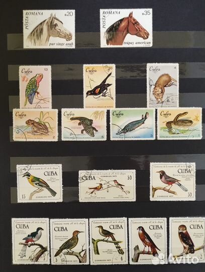 Коллекция марок