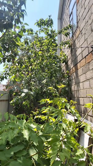 Дача 30 м² на участке 4,1 сот.