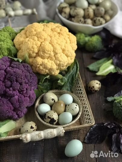 Фудфотограф