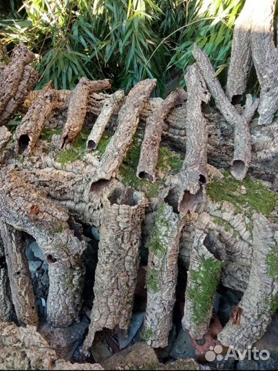 Кора пробкового дуба, лианы, корни, ветви, бамбук