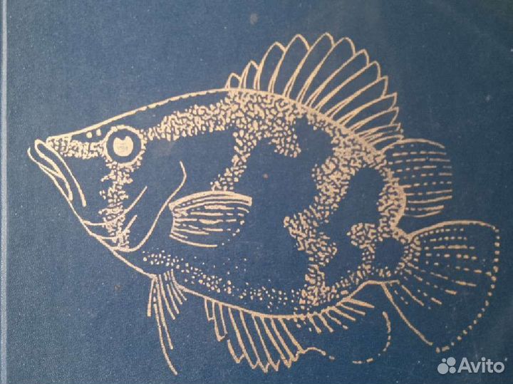 Энциклопедия о рыбах аквариумных и о собачках