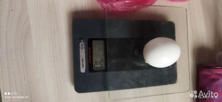 Домашние куриные яйца