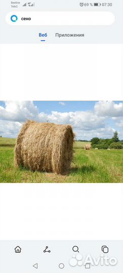 Продам сено в рулонах