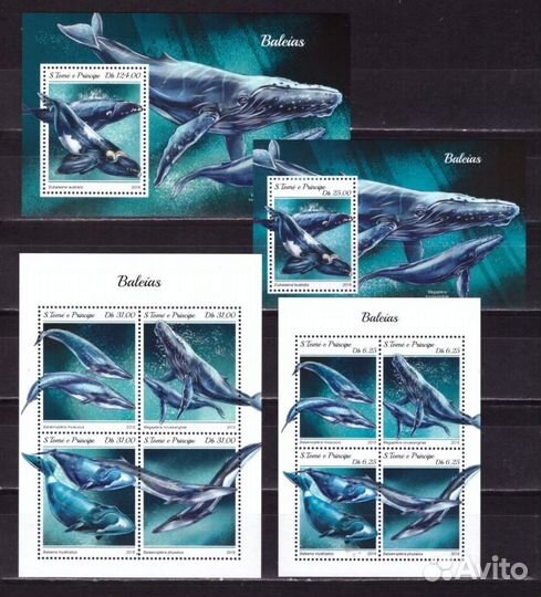 Сан-Томе и Принсипи, 2018. Морская фауна, дельфины