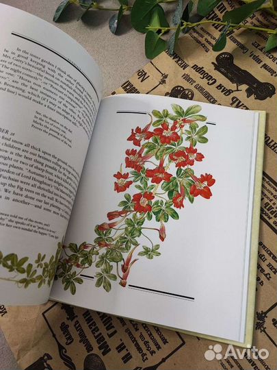 Книга Год в Викторианском саду