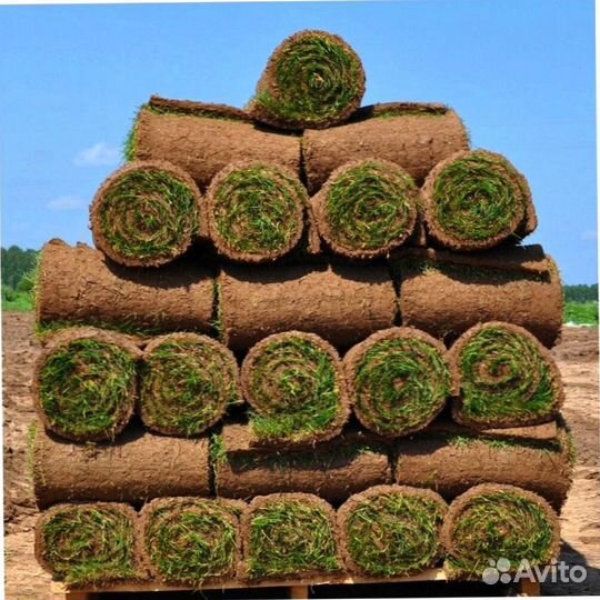 Укладка рулонного газона под ключ