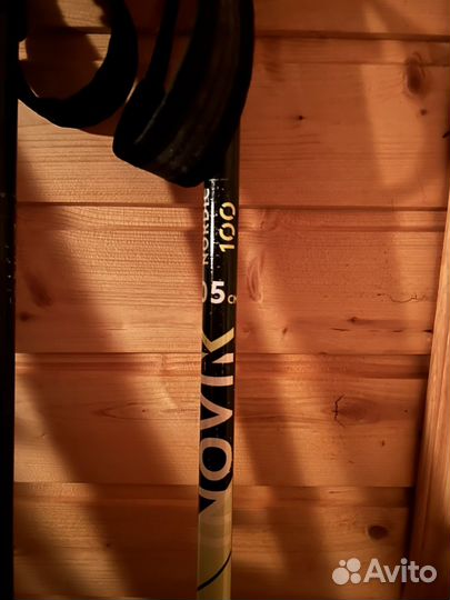 Беговые лыжи