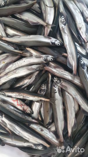 Мойва свежая