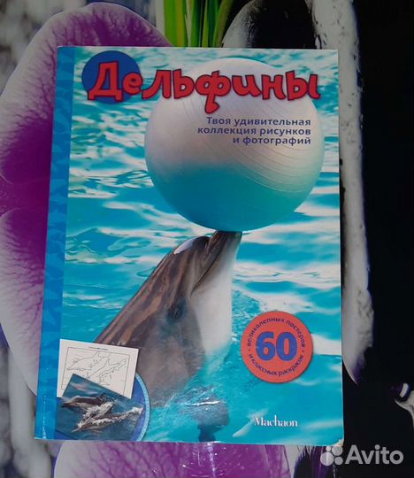 Книга про дельфинов