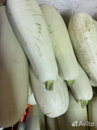 Кабачки
