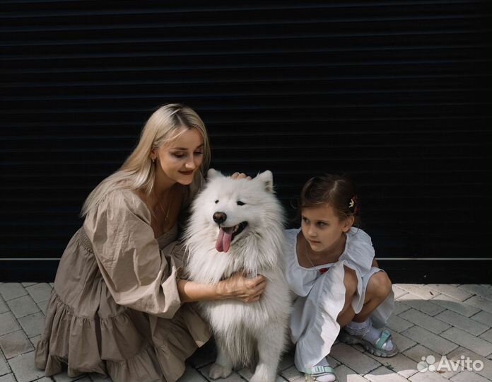 Фотосессия с собакой