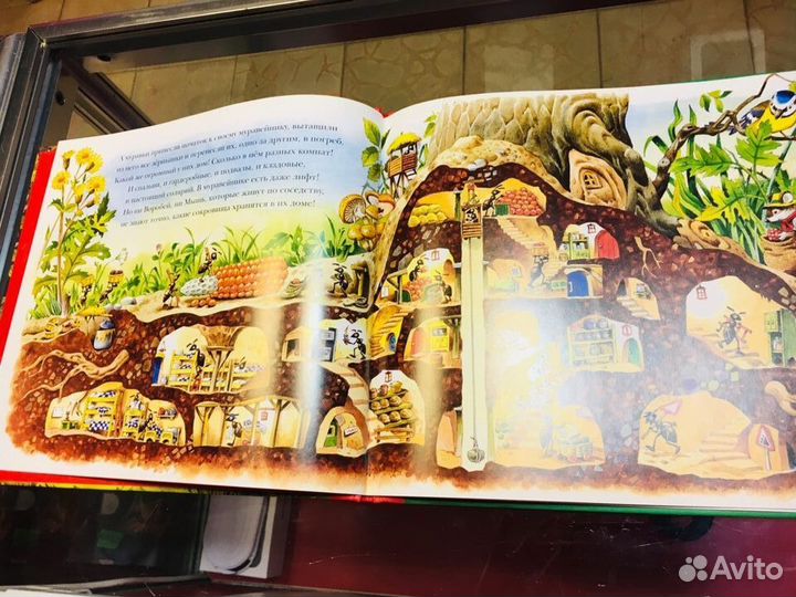 Ежики варят яблочный сироп Рисунки Тони Вульф