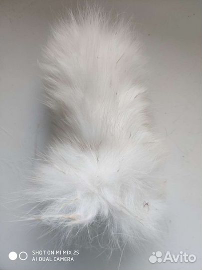 Лакомство для кошек и собак