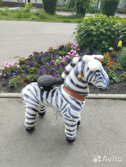 Поницикл средний