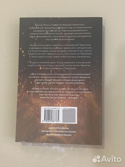 Сын вечности книга
