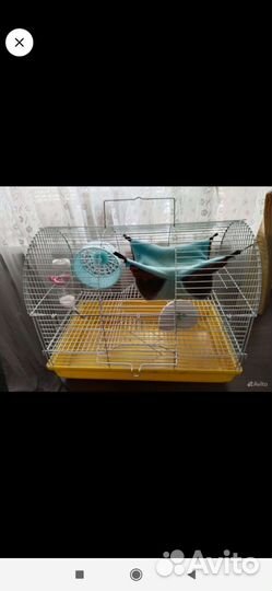Клетка для хомяка бу