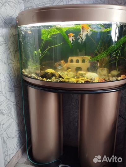 Аквариум с тумбой бу