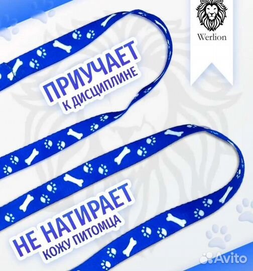 Поводок-шлейка для кошек и мелких пород собак