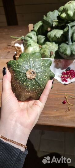 Декоративные тыквы