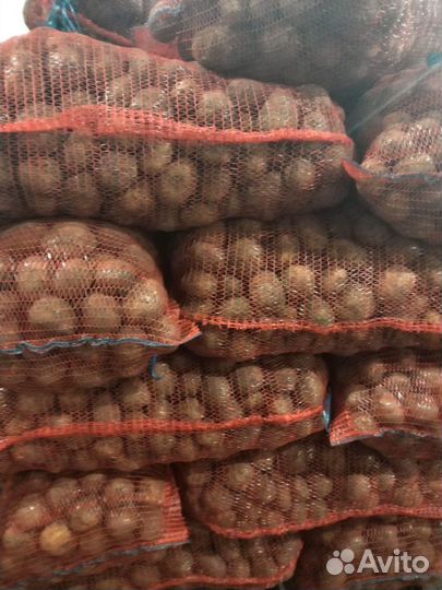 Продам картофель оптом